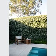 Hunter Outdoor Canvas Easy Armchair gallery detail image