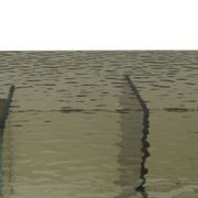 Ekta Rectangular Dining Table gallery detail image