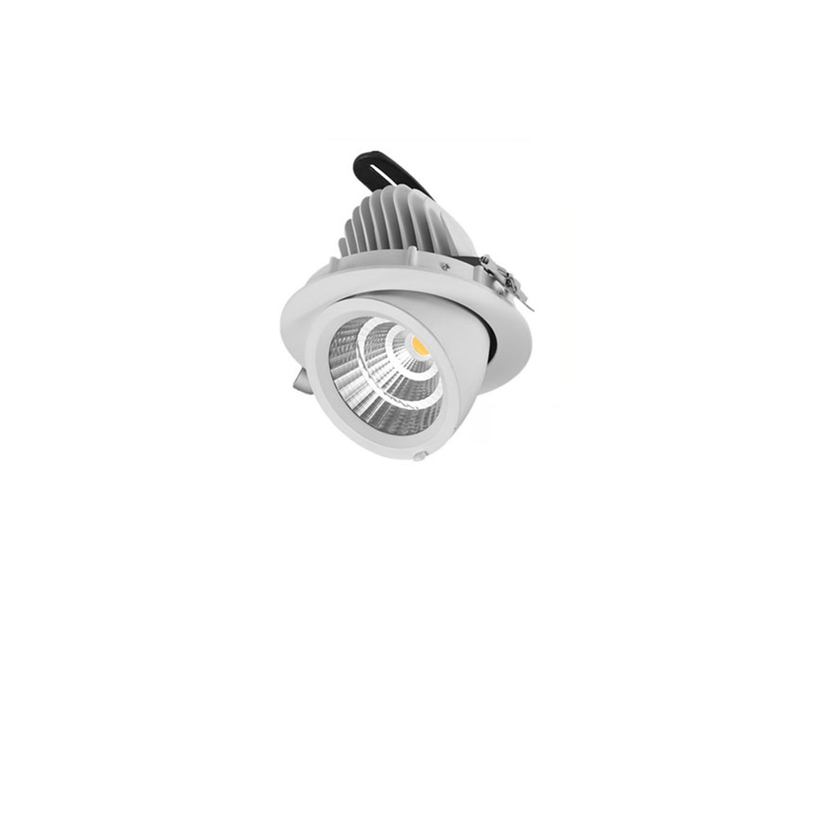 25W Snorkel Swivel Downlight gallery detail image