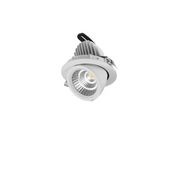 25W Snorkel Swivel Downlight gallery detail image