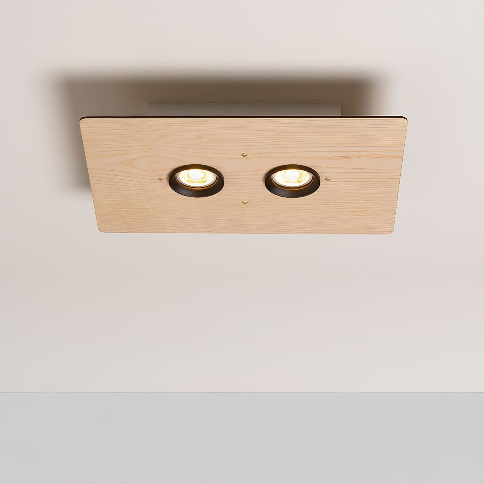 Equal Twin Ceiling Light gallery detail image