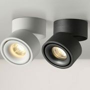 Adjustable Surface Downlight gallery detail image