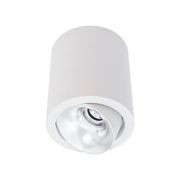 Cevon Dark Art - 14W Tilt/Rotate Surface Mount Light gallery detail image