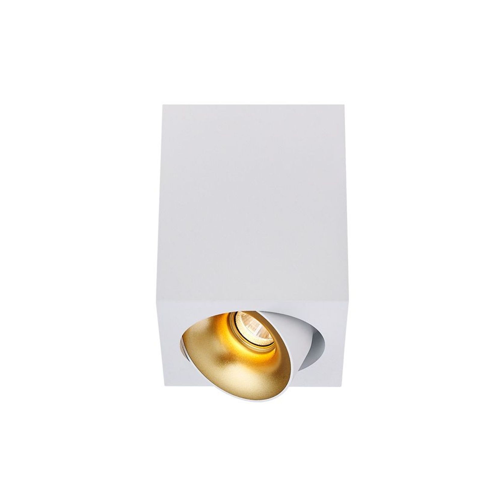 Cevon Dark Art - 10W Tilt/Rotate Surface Mount Light gallery detail image