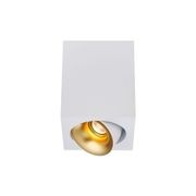 Cevon Dark Art - 10W Tilt/Rotate Surface Mount Light gallery detail image