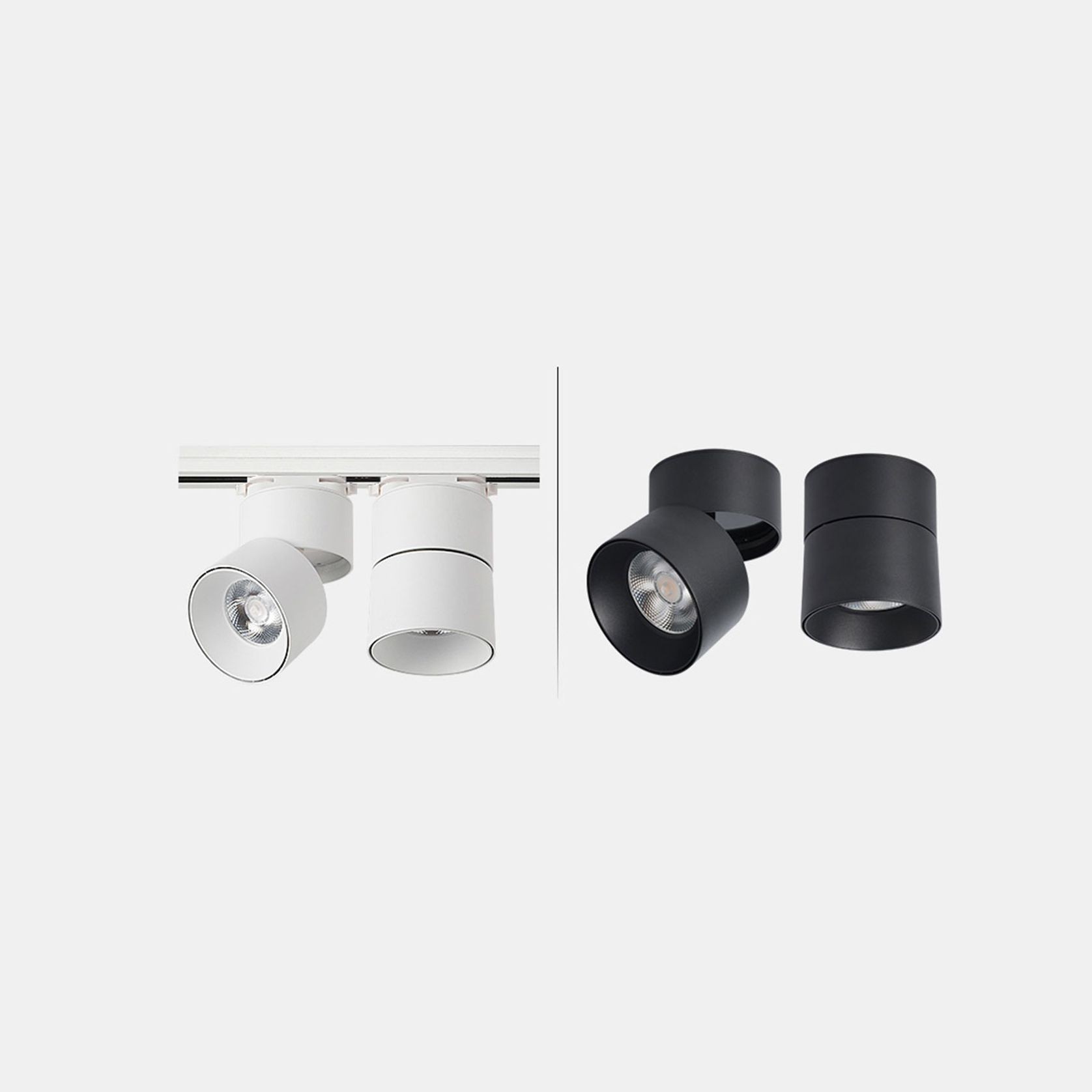 track light and surface mount light
