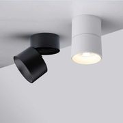 swivel light