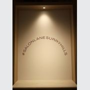 Zela Downlights gallery detail image