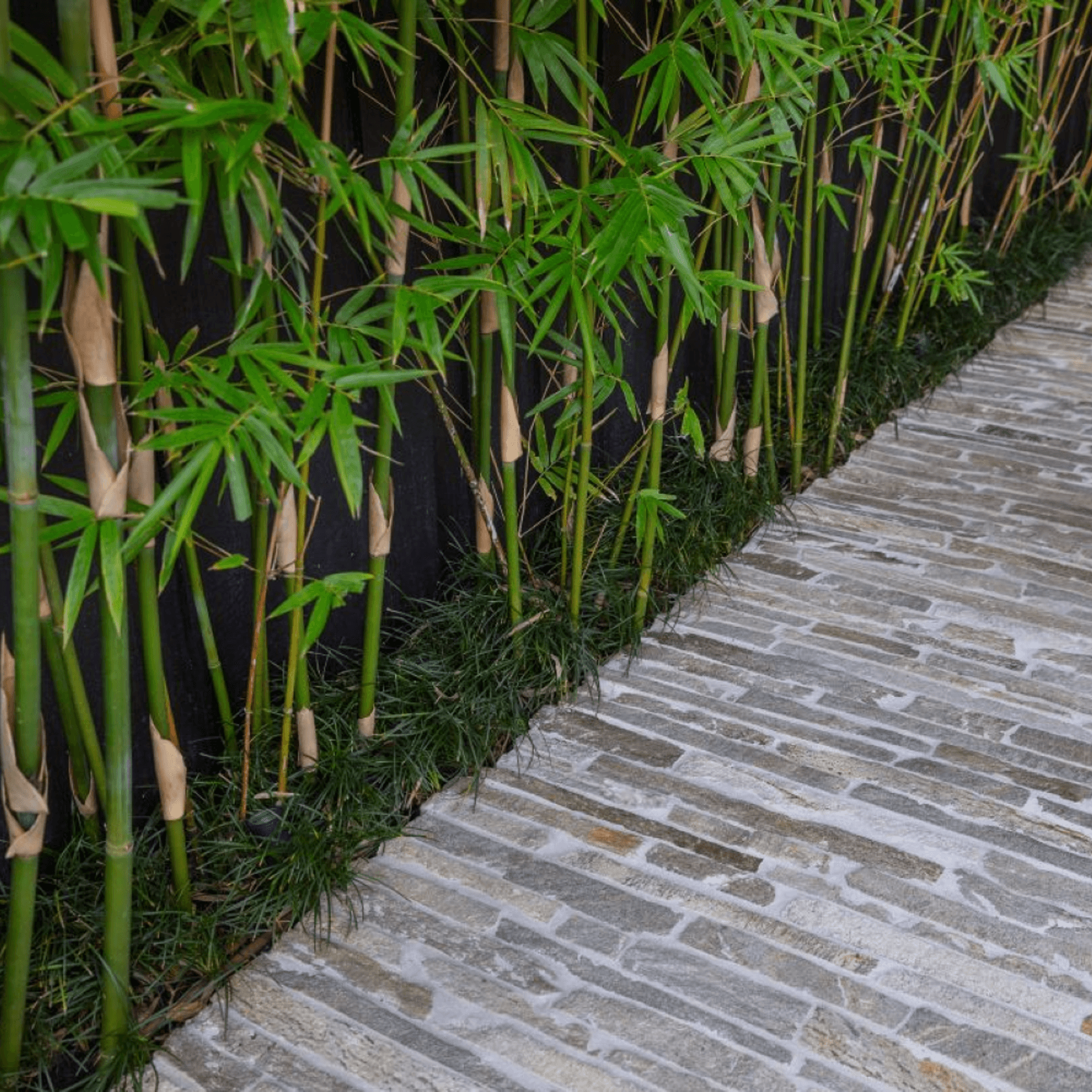 Euro Filetti Paving gallery detail image