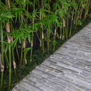 Euro Filetti Paving gallery detail image