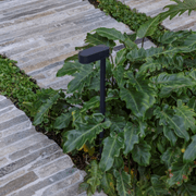 Euro Filetti Paving gallery detail image