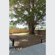 Tree Protection Zones (TPZ) by Permcon gallery detail image