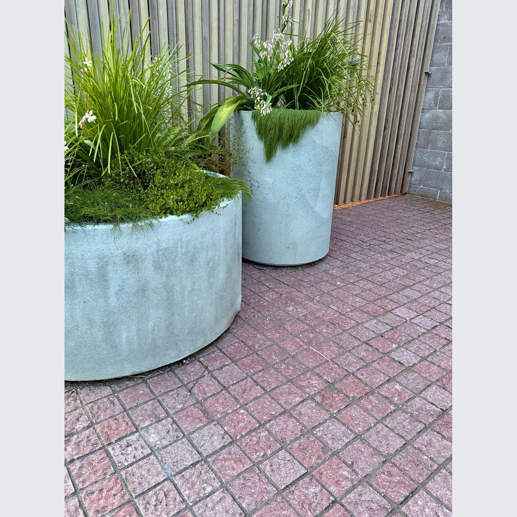 Red Porphyry gallery detail image