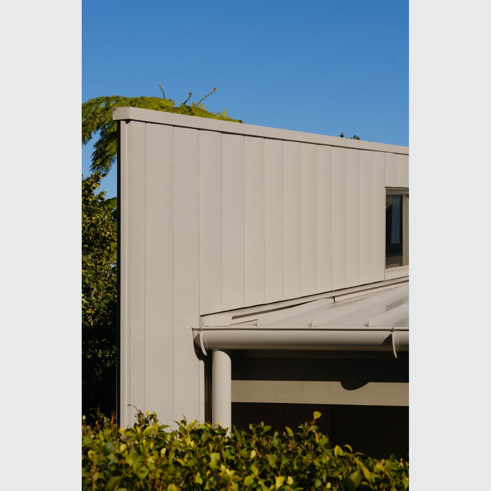 Expression® gallery detail image