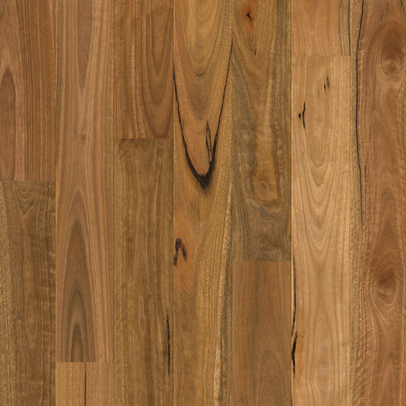 Quick-Step Amato Spotted Gum Timber Flooring gallery detail image