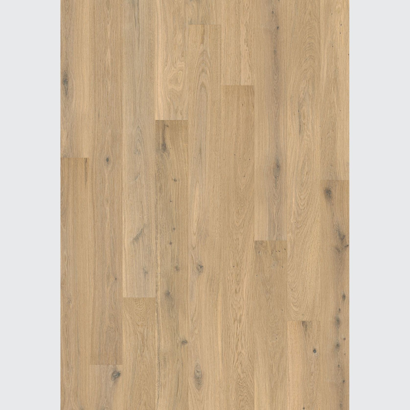 Quick-Step Amato Pure Oak Extra Matt Timber Flooring gallery detail image