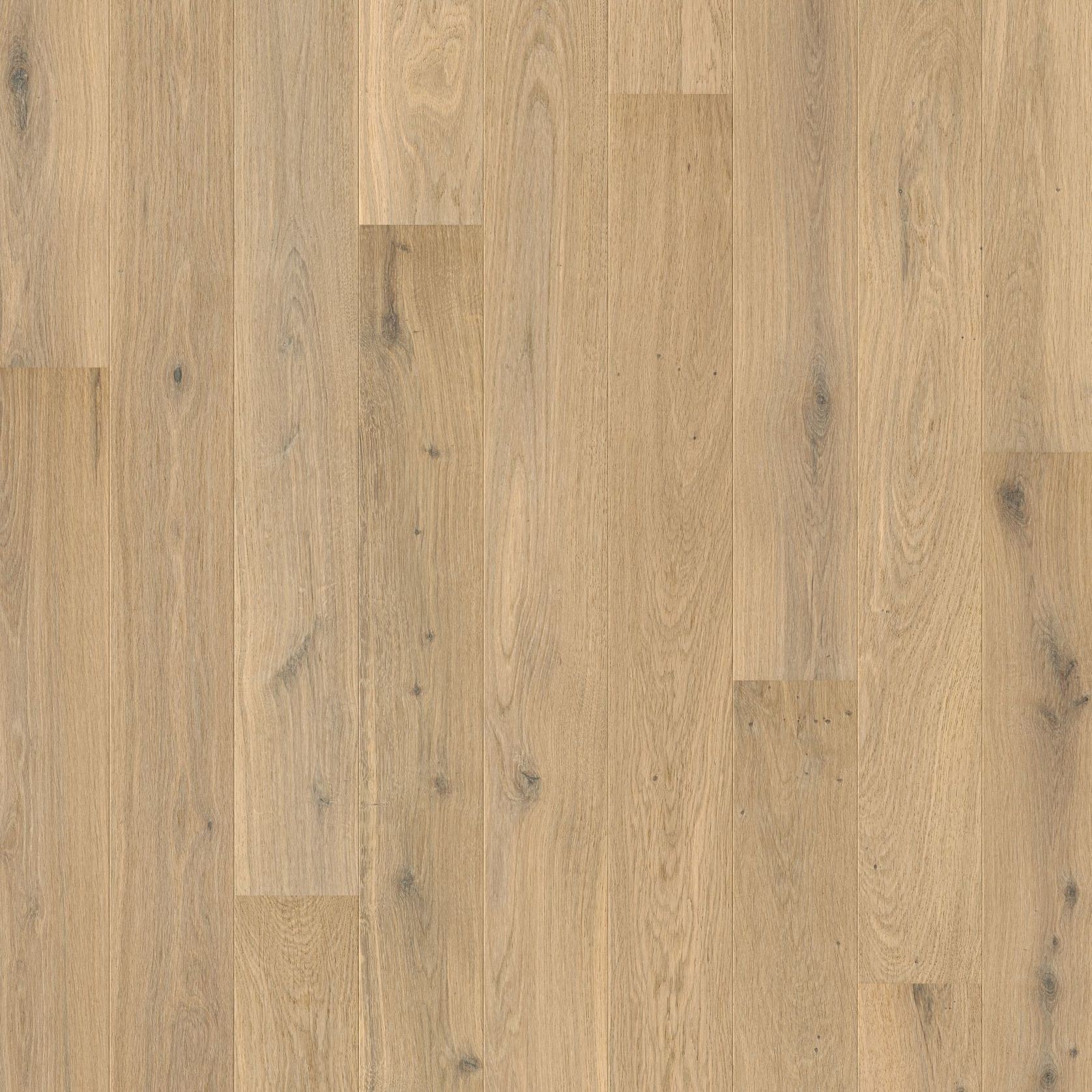 Quick-Step Amato Pure Oak Extra Matt Timber Flooring gallery detail image