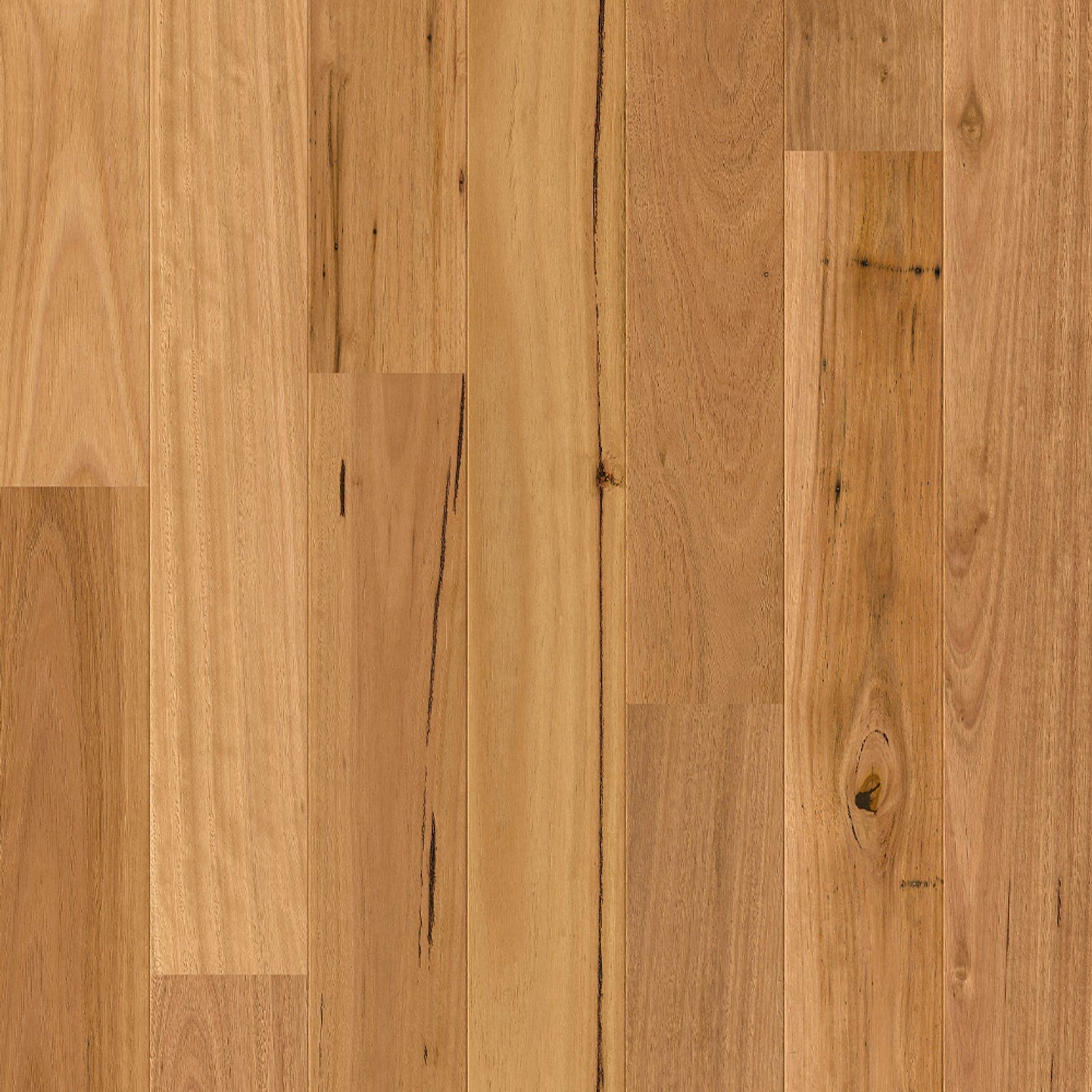 Quick-Step Amato Blackbutt Flooring Timber Flooring gallery detail image