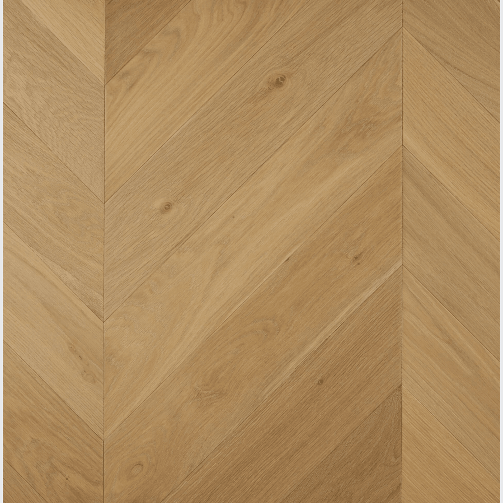 Chevron Colonial Grey Chevron Parquetry gallery detail image