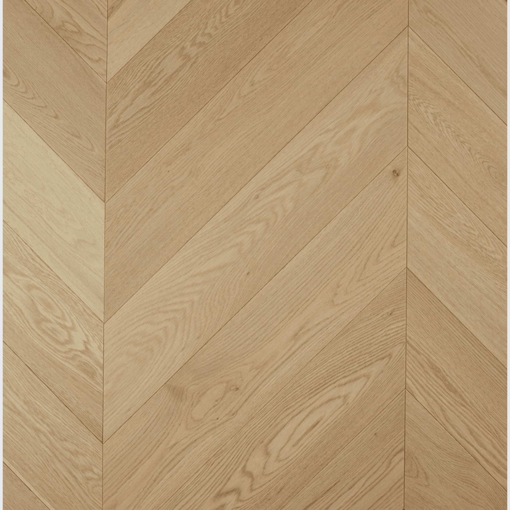 Chevron Parana European Oak gallery detail image