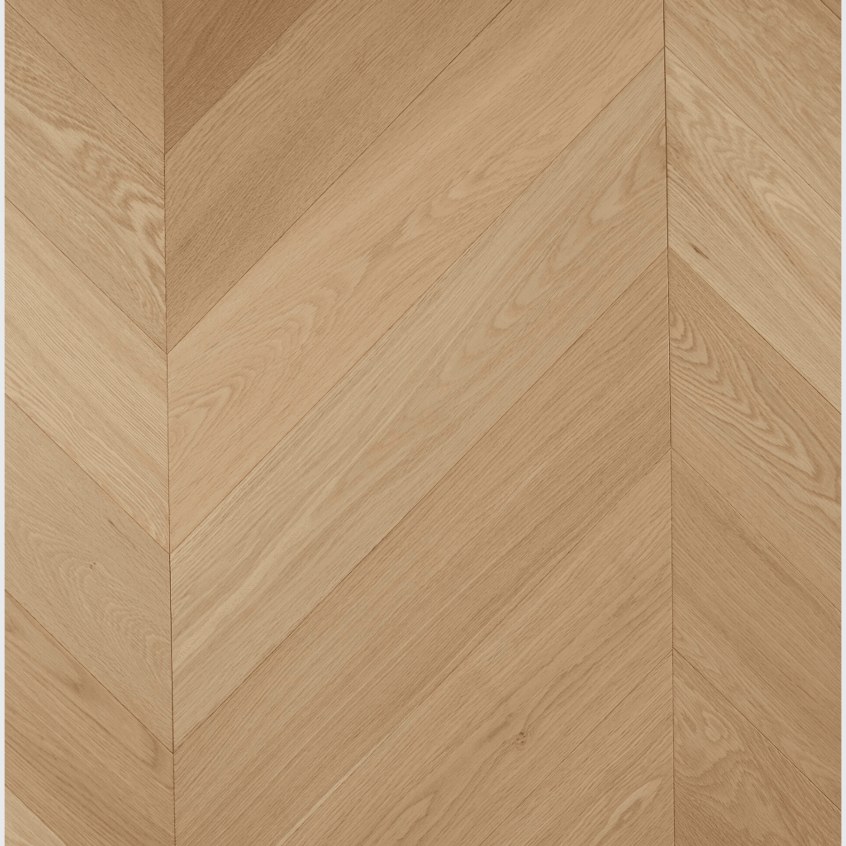 Chevron Pure Natural European Oak gallery detail image