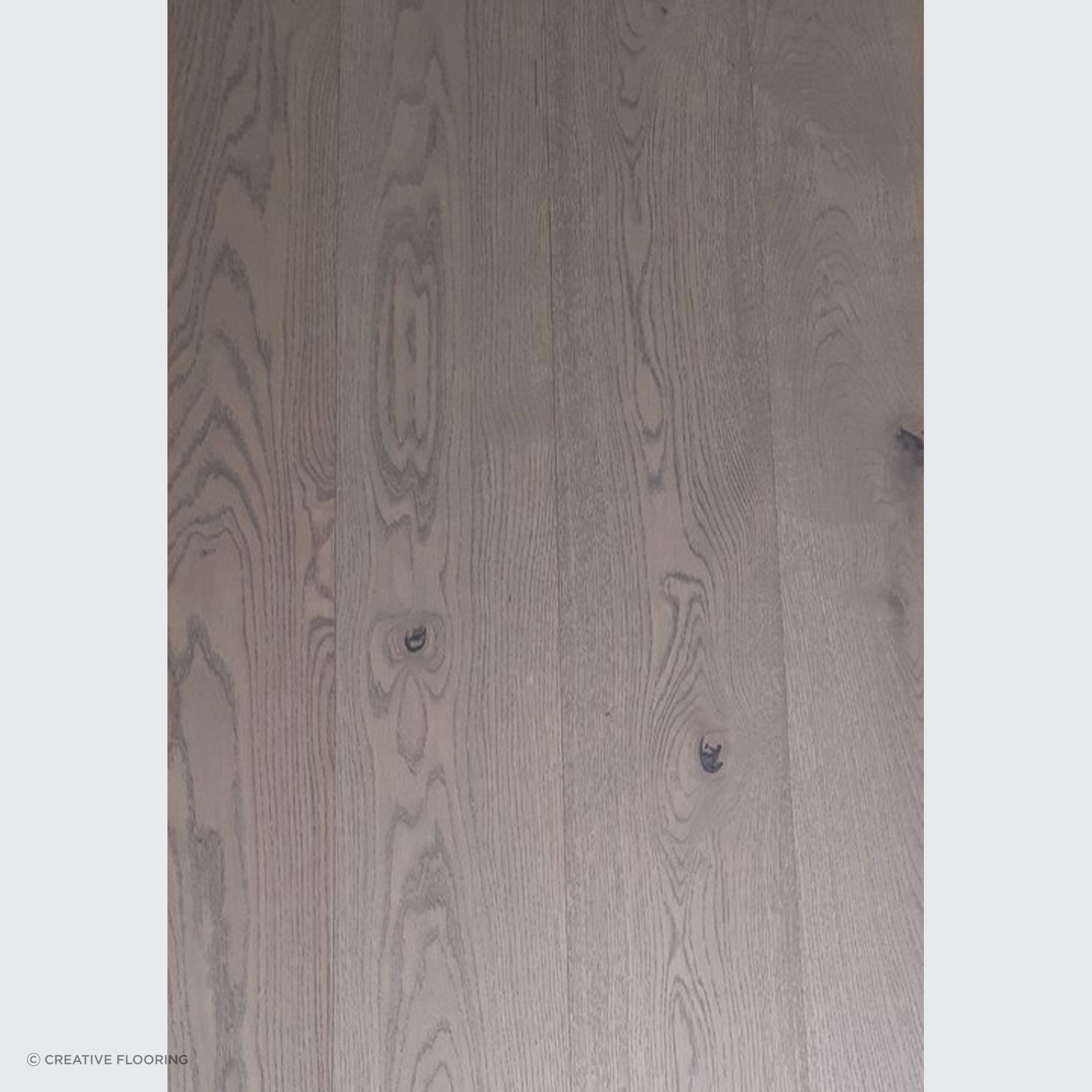 Habitat Range - Lacquer gallery detail image