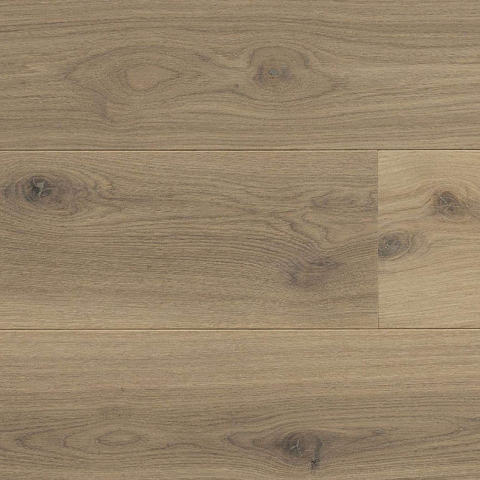 HW3639 Amazon 13 Character gallery detail image