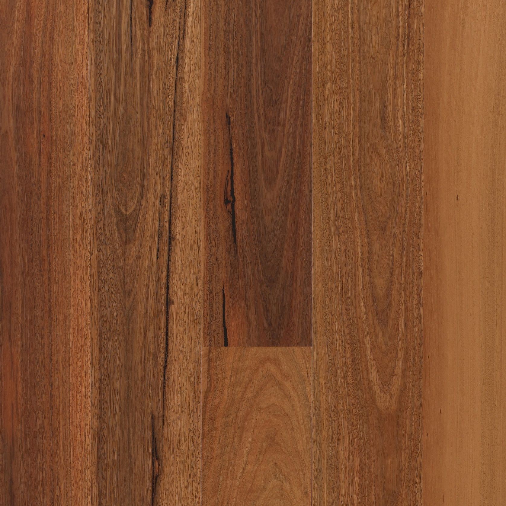 Maculata | Aloura Collection gallery detail image