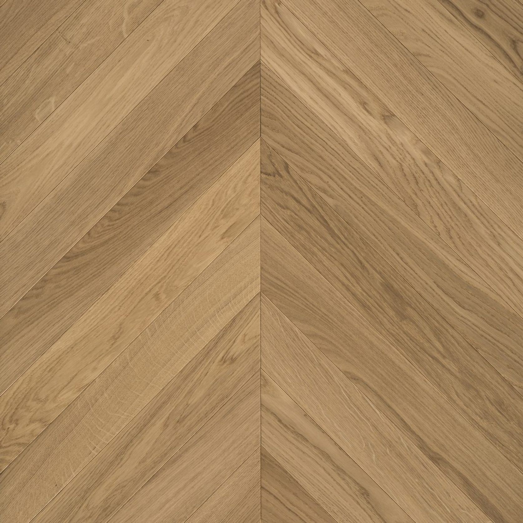 Pallido Chevron The Italian Collection Timber Flooring gallery detail image