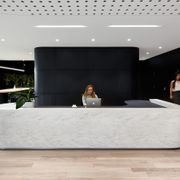 HW16404C Alabastro Plank Character Grade gallery detail image