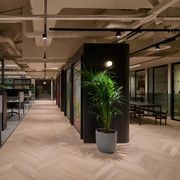 HW16609C Columba Chevron Character Grade gallery detail image