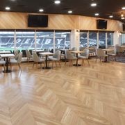 HW16604C Pallido Chevron Character Grade gallery detail image