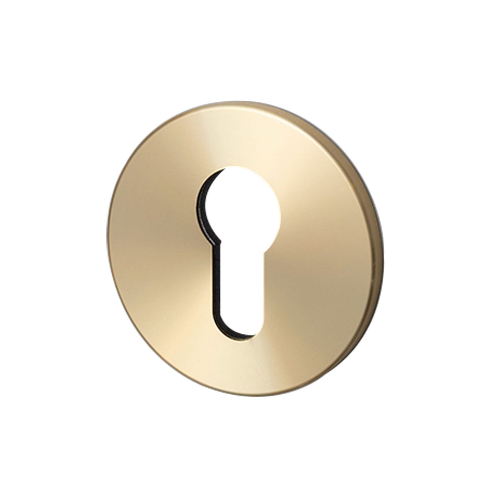 Buster and Punch Escutcheon Plate Euro Profile gallery detail image