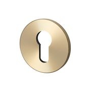 Buster and Punch Escutcheon Plate Euro Profile gallery detail image