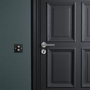 Buster and Punch Escutcheon Plate Traditional Profile gallery detail image