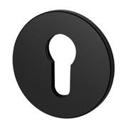 Buster and Punch Escutcheon Plate Euro Profile gallery detail image