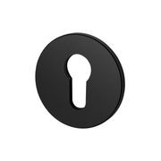 Buster and Punch Escutcheon Plate Euro Profile gallery detail image