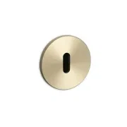 Buster+Punch Cylinder Escutcheon gallery detail image
