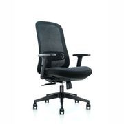 Willow Exec Chair gallery detail image