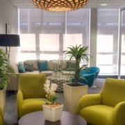 Indoor Plant Hire | Hire Plants gallery detail image