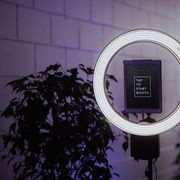 Plant Hire For Events | Hire Plants gallery detail image