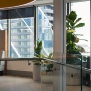 Indoor Plant Hire | Hire Plants gallery detail image