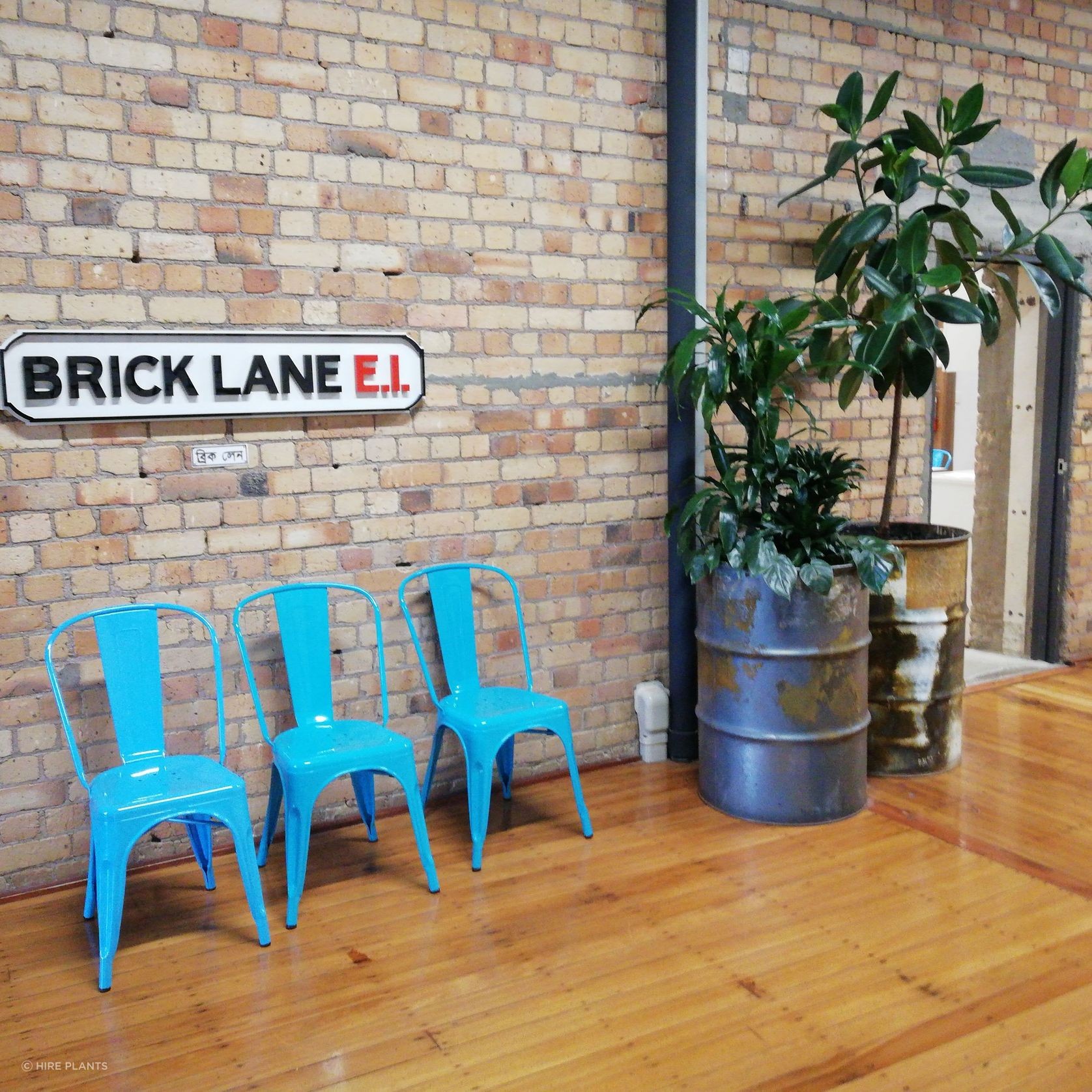 Indoor Plant Hire | Hire Plants gallery detail image