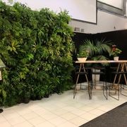 Plant Hire For Events | Hire Plants gallery detail image