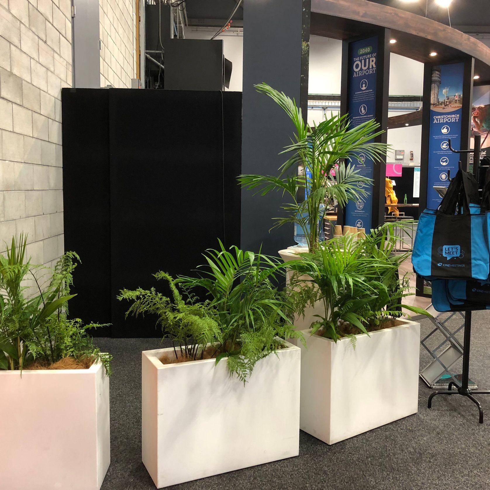 Plant Hire For Events | Hire Plants gallery detail image