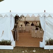 Plant Hire For Events | Hire Plants gallery detail image