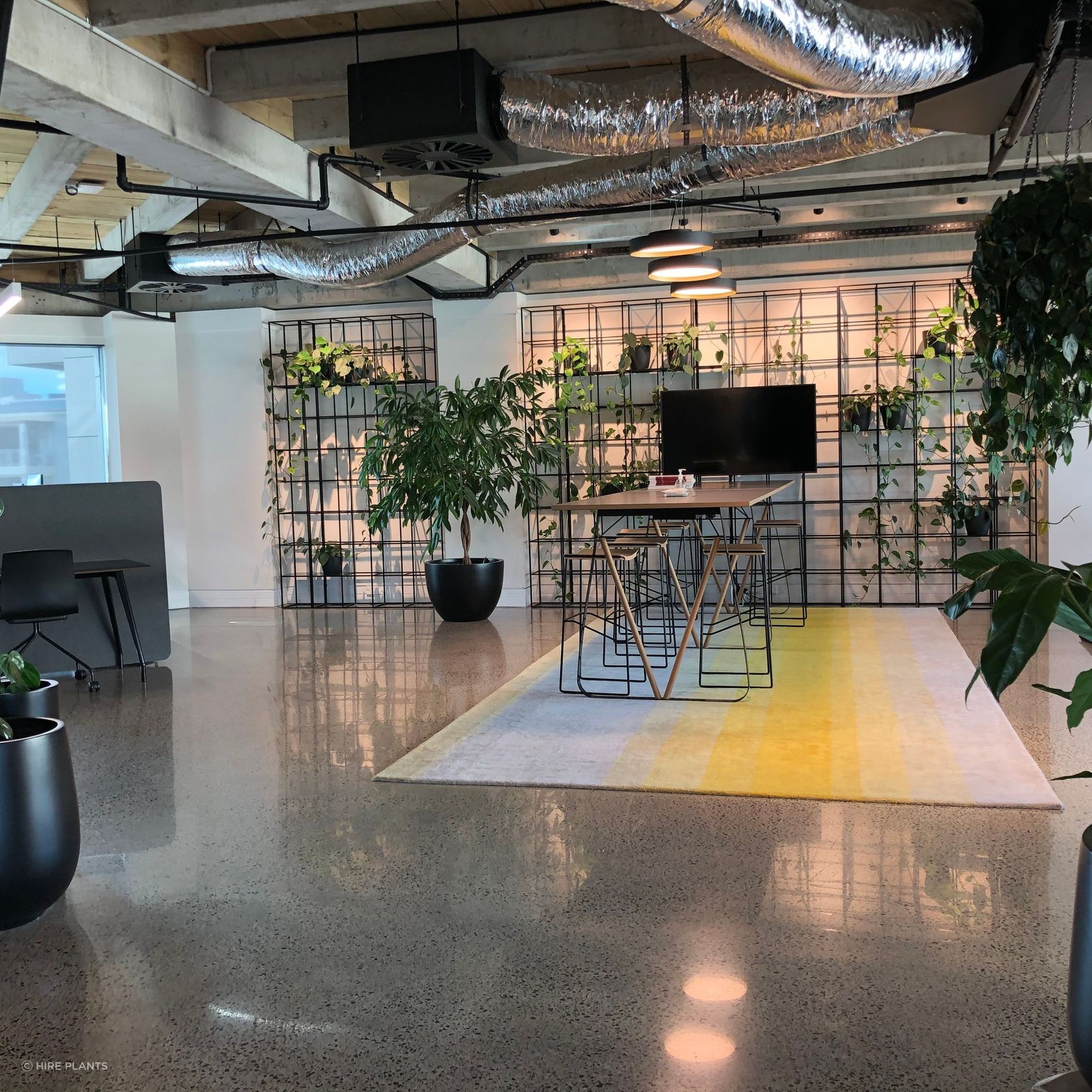 Indoor Plant Hire | Hire Plants gallery detail image