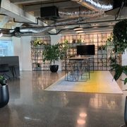 Indoor Plant Hire | Hire Plants gallery detail image