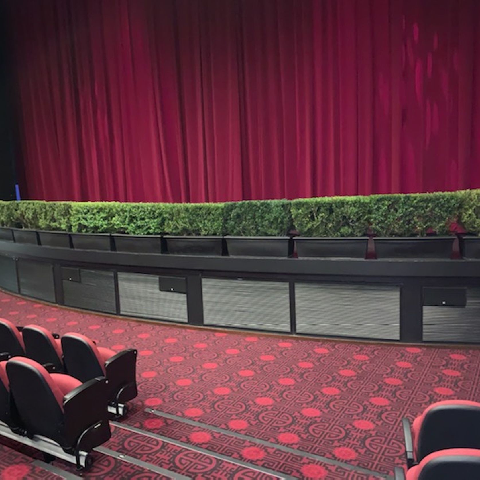 Plant Hire For Events | Hire Plants gallery detail image