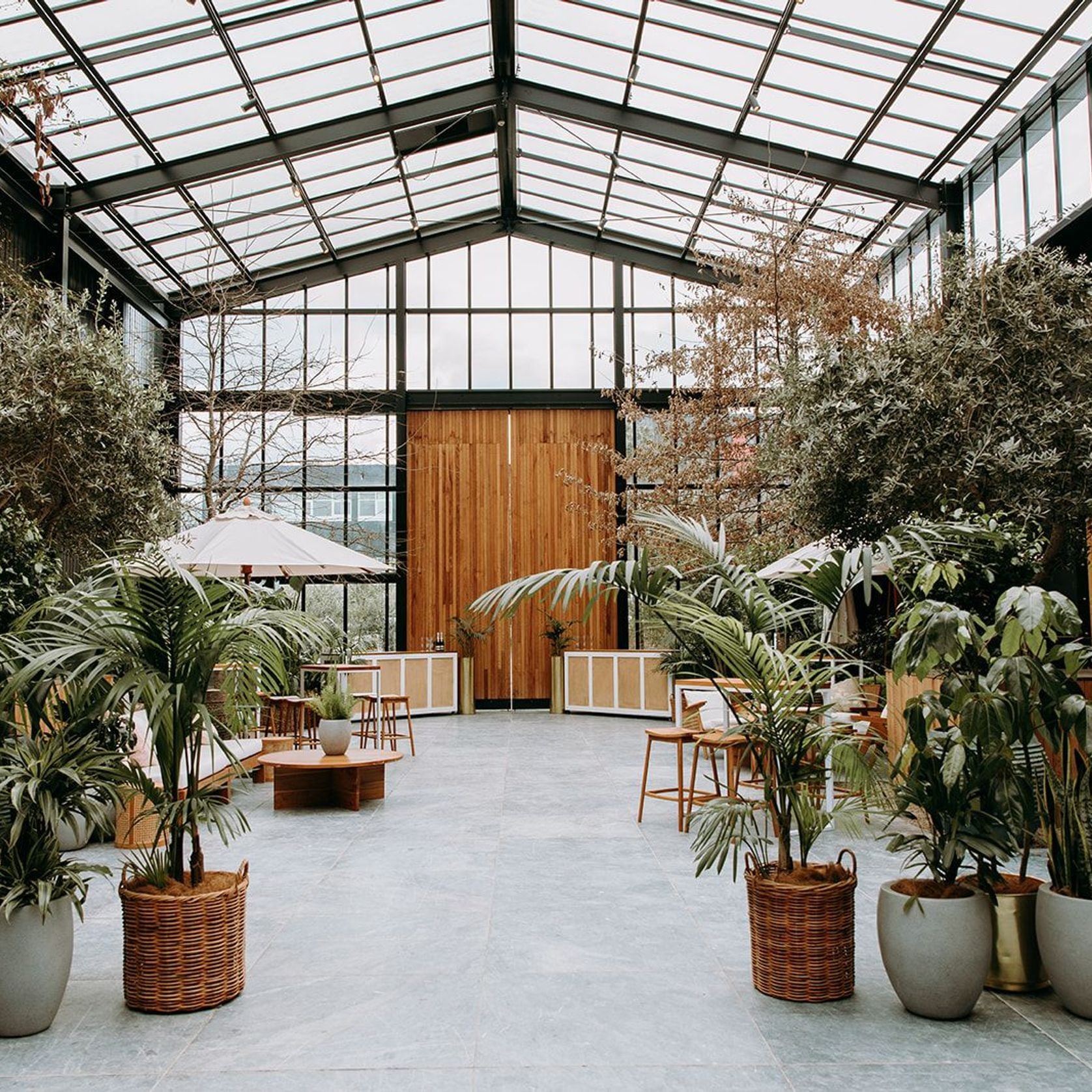 Plant Hire For Events | Hire Plants gallery detail image